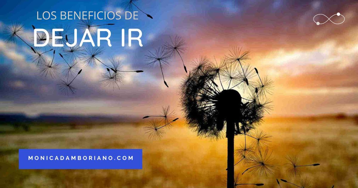 Suzon Dejar DEJAR IR, CUÁLES SON SUS BENEFICIOS